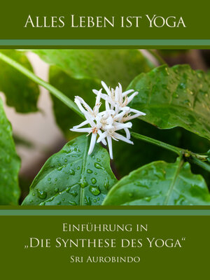 cover image of Einführung in „Die Synthese des Yoga"